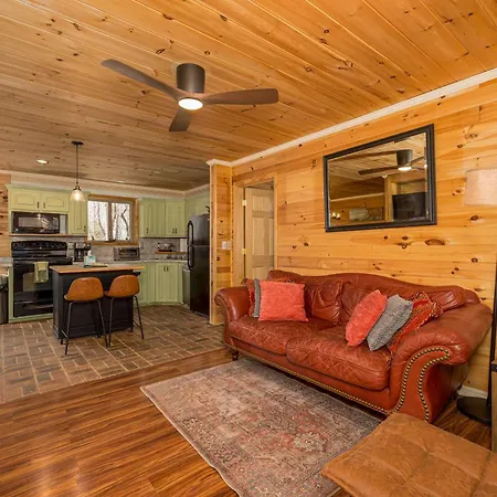Free Tickets! Sleeps 10 Secluded Cosby Cabin On 7 Acres W Hot Tub, Game Room!